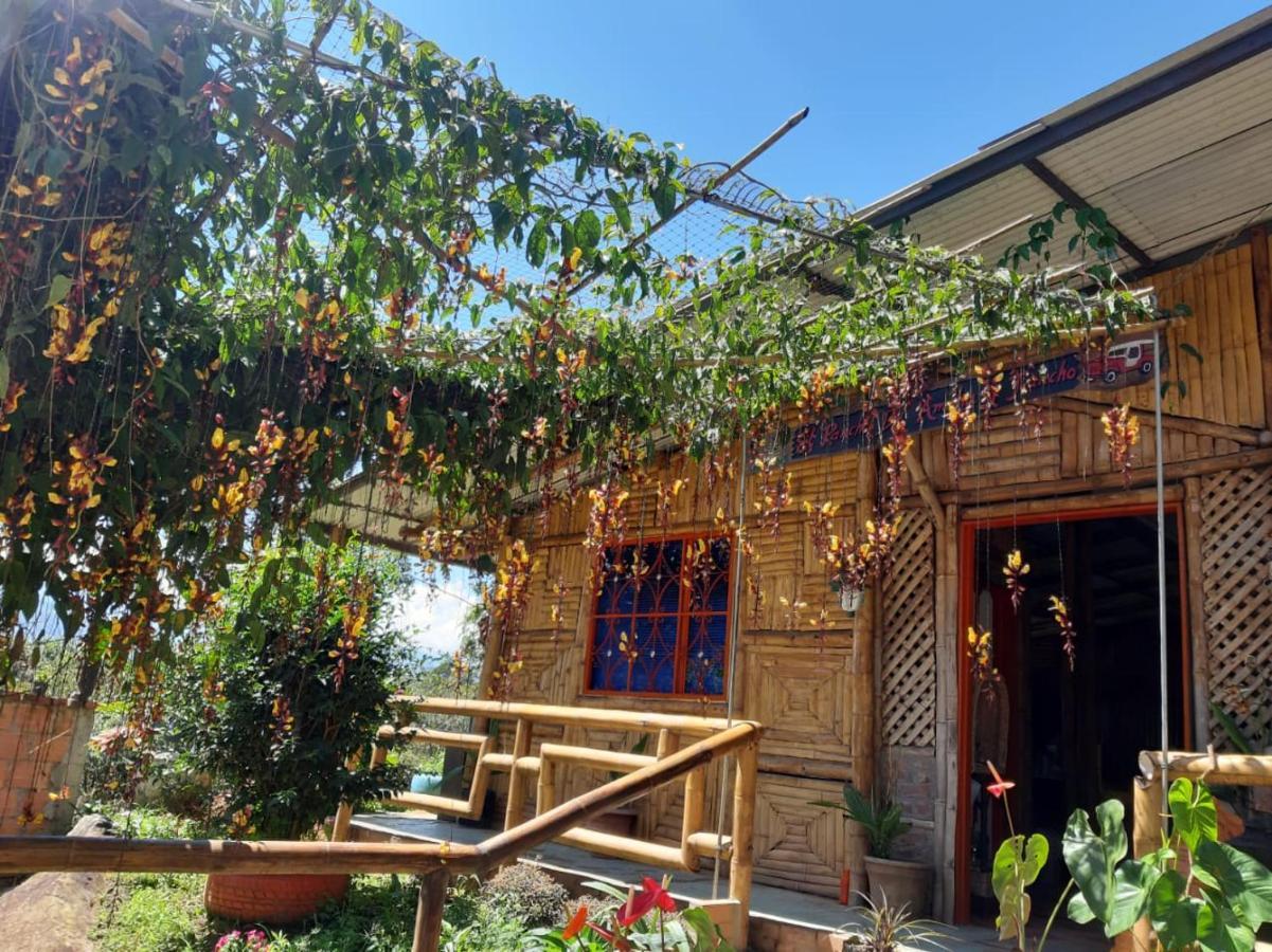 Rural El Rancho De Amelia Y Juancho 鄉村民宿