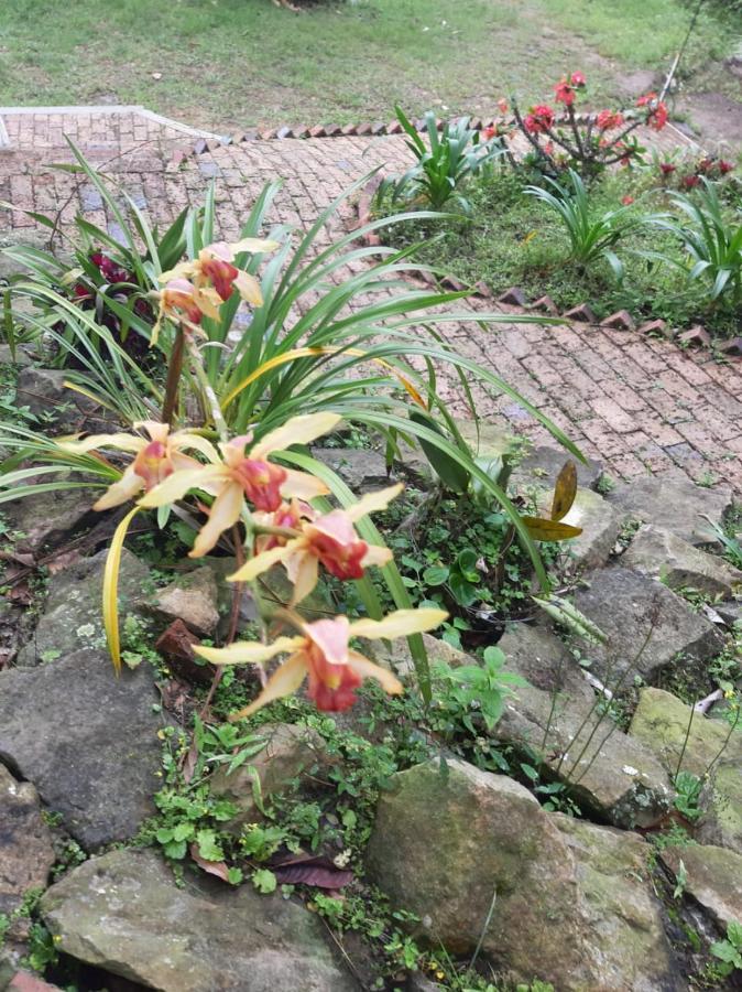 鄉村民宿 Rural El Rancho De Amelia Y Juancho Silvania